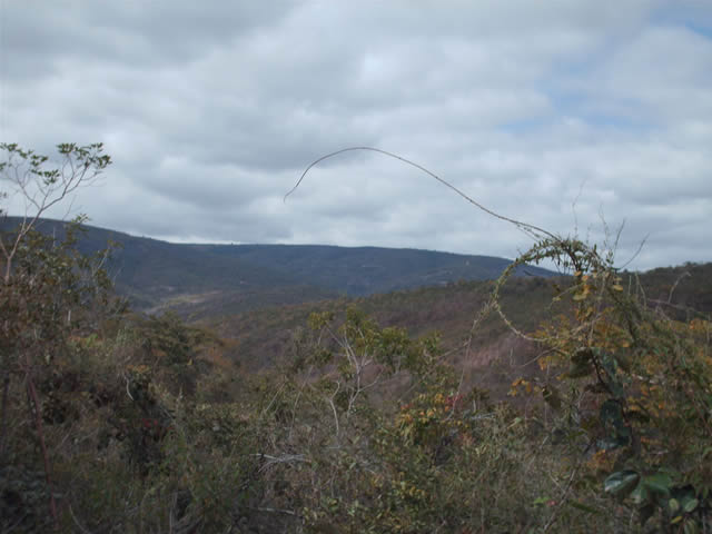 RESERVA EM MINAS GERAIS